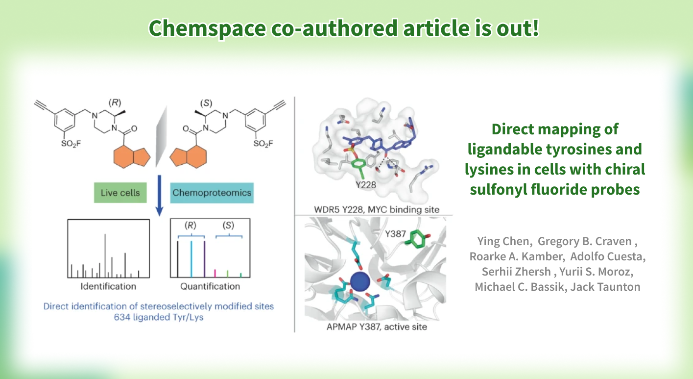 Direct mapping of ligandable tyrosines and lysines in cells with chiral sulfonyl fluoride probes